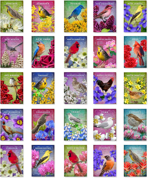 US STATE BIRDS AND FLOWERS Set of 50 Postcards | United States Bird and Flower Symbols Variety Pack | Made in USA