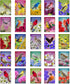 US STATE BIRDS AND FLOWERS Set of 50 Postcards | United States Bird and Flower Symbols Variety Pack | Made in USA