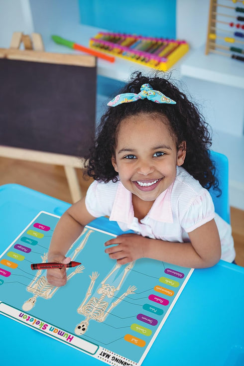 Teacher Created Resources (TCR21028) Human Skeleton Learning Mat
