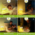 Dimmable/Timer FAMIDUO Frog Night Light for Kids, Cute Funny LED Squishy Animal Silicone Lamp, Nursery Night Light