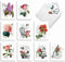 The Best Card Company - 20 Blank Notes with Envelopes, All Occasion Animal Assortment (10 Designs, 2 Each)