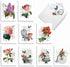 The Best Card Company - 20 Blank Notes with Envelopes, All Occasion Animal Assortment (10 Designs, 2 Each)