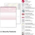 DocuGard Burgundy Marble Top Check, 8.5 x 11 Inches, 500 Sheets, 1 Check Per Sheet