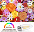 E26 Bulb 40W Bulbs,B11 Bulbs,2700K Bulb,for 4-Pack KINUR led Candelabra Light LED Chandelier Warm White Decorative