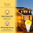 Bulb 6W 40W (2 Pack), A19 E26 Simba Lighting Bug Non-Attracting Yellow LED Equivalent Great for Outdoor Porch Light
