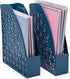 Mintra Office Magazine File 2pk, Plastic Desk Organizer (Deep Lake Blue)