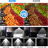 Pigsty(1 Solar Shed Pendant Light Auto Dusk to Dawn Solar Light Day and Night Indoor and Outdoor with Remote Control