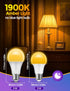 JandCase Amber Light Bulbs for Healthy Sleep, 3W Warm Light Bulbs Blue Light Blocking, Low Watt Light Bulbs 40W Equivalent, E26 A19 Dim Light Bulbs for Lamp, Bderoom, Mood Soothing, Nursery, 2 Pack by JandCase