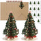 Afniimyapt 10 Set Christmas Tree Pop Up Cards Merry Christmas 3D Paper Popup