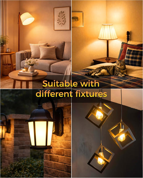 ST19 Bulb 2 Pack: Bulbs 3H/6H/9H/12H 2700K 600lm, E26 Timer Light Vintage Edison LED with Built-in Timer, Auto Modes