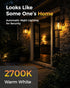 ST19 Bulb 2 Pack: Bulbs 3H/6H/9H/12H 2700K 600lm, E26 Timer Light Vintage Edison LED with Built-in Timer, Auto Modes