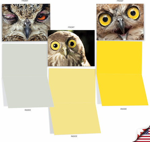 The Best Card Company 10 Bird Note Cards Blank (4 x 5.12 Inch) with Envelopes, Boxed Set