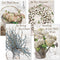 Farmhouse Get Well Greeting Cards - Set of 8 (4 Designs), Large 5" x 7", Sympathy Cards with Envelopes