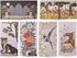 MU:DS Korean Minhwa Envelope Set of 6 Traditional Five Blessings Folk Art