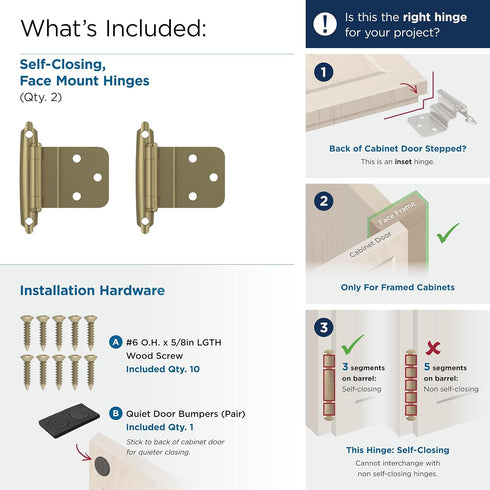 Amerock BPR3428BBZ Cabinet Hinge, 3/8 in (10 mm) Inset Self Closing Face Mount, Golden Champagne, 1 Pair/2 Pack