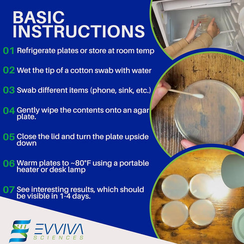 Evviva Sciences Nutrient Agar Petri Dishes Science Project Kit, Pre-Poured Agar Plates for Science Experiments