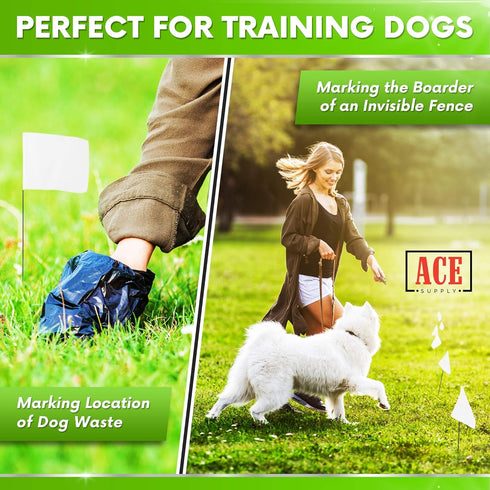Marking Flags 4 x 5-Inch on 15-Inch Steel Wire, 100 Pack for Irrigation, Lawn, Garden, and Dog Training