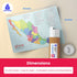 Quarterhouse 4 Poster Spanish Language Country Maps Set, Spanish Classroom Learning Materials, 12 x 18 Inches