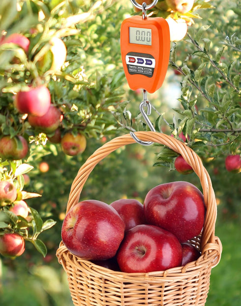QWORK Hanging Weight Scale, 200kg/440lbs Digital Crane Scale, Aluminum Housing, LED Display.
