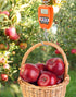 QWORK Hanging Weight Scale, 200kg/440lbs Digital Crane Scale, Aluminum Housing, LED Display.