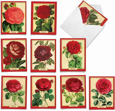 The Best Card Company 10 Assorted Thank You Notes Boxed Set, 4 x 5.12 Inch with Envelopes, Retro Roses