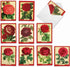 The Best Card Company 10 Assorted Thank You Notes Boxed Set, 4 x 5.12 Inch with Envelopes, Retro Roses