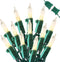 Hopolon 2 Pack 13ft 50 Clear Mini Christmas String Lights on Green