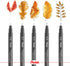 Pentel Arts Pointliner Drawing Pen, 0.8mm Black Ink, Box of 12 Pens (S20P-8A)