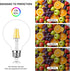 2PCS G125 Bulbs 8w 60 watt,E26 Bulb Lightbulbs 2700k 2PCS) Globe LED Light Equivalent Large Decorative Edison Light