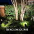 GOODSMANN Low Voltage Landscape Lights, 3W LED Floodlights with Replaceable Bulb, 200 Lumen, 12V AC