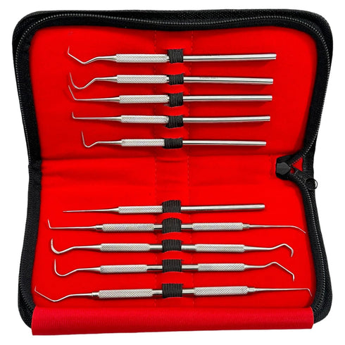 Avon Surgical Set 10 Precision Probe of Pieces Dental Hygienist Oral Care Picks Single and Double-Ended with Varying