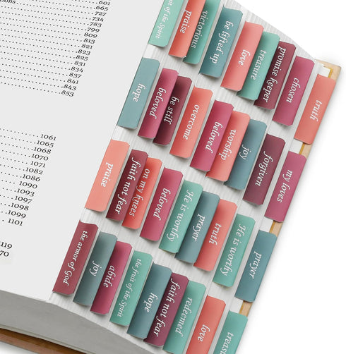 Mr. Pen - Topical Laminated Bible Tabs, 75 pcs, Spring Theme, Easy-to-Read & Apply,