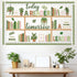 Set Bookshelf Bulletin Board Plant Greenery Classroom Decorations Reading Library Bulletin Board Potted Bookshelf Paper