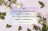 FOCUS AND ZEAL Note Cards About Powerful Women, Motivational Educational Card Set of 30, 3 x 5 Inch