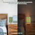 Amooorous Cartoon Green Cactus Leopard Print Bed Lamp Baby Night Light for Dresser Lamp for Study Desk Elegant lampara