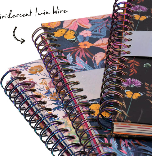 Pukka Pad 5 Subject Spiral Notebook 3-Pack | 200 Pages, 100 Sheets of 80GSM Paper with Repositionable Dividers