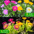 2 Pack 14 Solar Flowers Lights, Solar-Powered Outdoor Light with Blooming Flowers, Waterproof Lights for Outside Yard