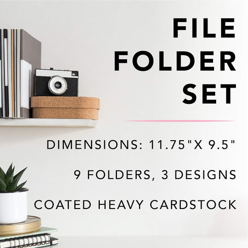 Graphique Flamingo Pink File Folder Set, Includes 9 Folders and 3 Unique Flamingo and Polka Dot Designs, Gold Foil on