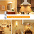 JDE11 120V 100W, E11 Bulb, E11 Bulbs, T4 Dimmable Bulbs, 2800K JDE11 Bulb 2 Pack Flaspar Halogen Light Mini Base