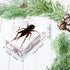 20Pcs Insect in Resin Specimen Set, Different Kind or Size Insect Specimen Bugs Collection for Teens