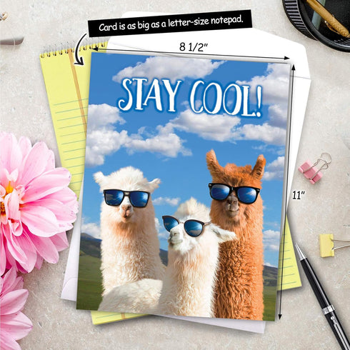 NobleWorks Jumbo Funny Congratulations Greeting Card, 8.5 x 11 Inch with Envelope (1 Pack) - Big Congrats Llamas