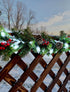 Hobbynors C9 2-Pack (50FT Total50 Bulbs) Vintage Christmas Lights Outdoor - LED , Connectable String Lights, Waterproof