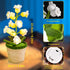 QUELIEN Crochet Flower Lamp,Lily of The Valley Lamp,Crochet Gifts for Women Mom Girlfriend,Unique Gift for Birthday