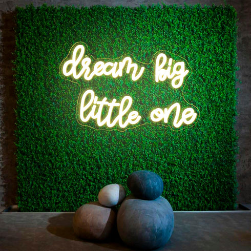 Dimmable Dream Big Little One Neon Sign Neon Signs for Wall Decor Inspirational LED Signs USB Light Up Sign for kids