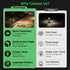 3 IP65 Solar Pathway Lights Outdoor, Modes Motion Sensor Path Light Warm & Daylight Selectable, Waterproof Walkway LED