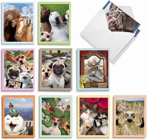 The Best Card Company - 20 Blank Note Cards with Envelopes (4 x 5.12 Inch) - Animal Card Assortment (10 Designs, 2 Each)