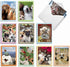 The Best Card Company - 20 Blank Note Cards with Envelopes (4 x 5.12 Inch) - Animal Card Assortment (10 Designs, 2 Each)