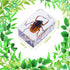 9 Pcs Insect in Resin Specimen Bugs Collection, Educational Science Classroom Specimens Display Supplies