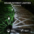16 Pack Dream Master Solar Lights Outdoor Waterproof, Stainless Steel LED Landscape Lighting, Solar Garden Lights