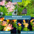 Solar Garden Lights - 2 Pack Solar Flowers Lights with Glowing Flowers & Stems for Outdoor Garden Decoration